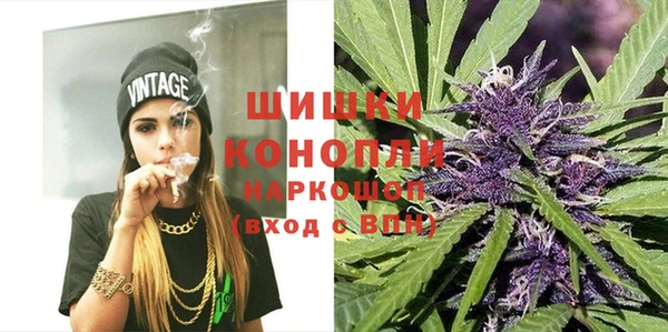 сатива Лихославль