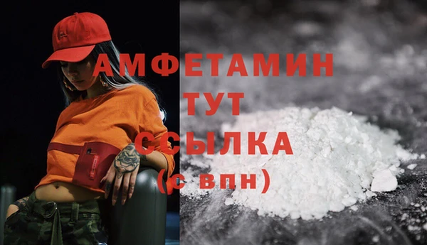 сатива Лихославль