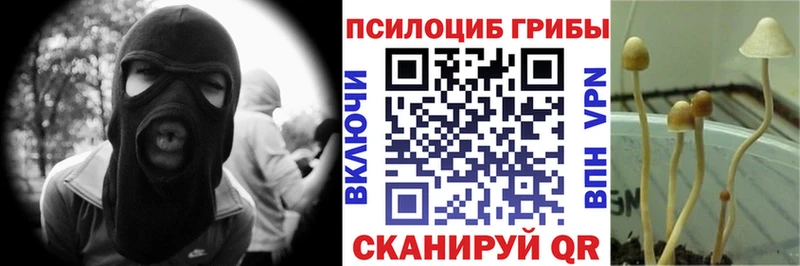 Галлюциногенные грибы мицелий  мега зеркало  Дербент 