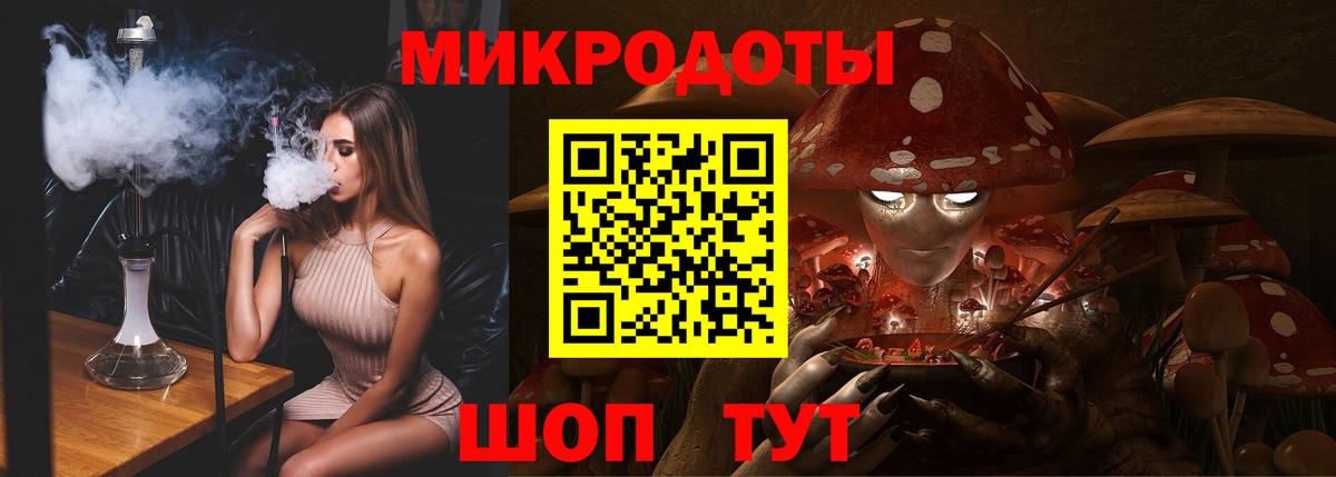 Галлюциногенные грибы Psilocybine cubensis  Дербент 