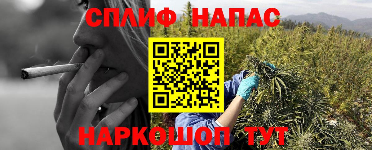 Бошки Шишки MAZAR  Канабис THC 21%  Конопля конопля  Дербент  Вход с VPN  МАРИХУАНА конопля 